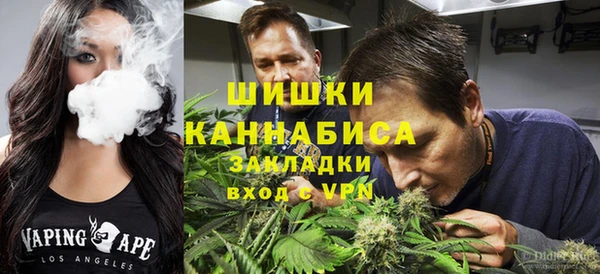 крисы Арсеньев