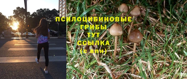 крисы Арсеньев