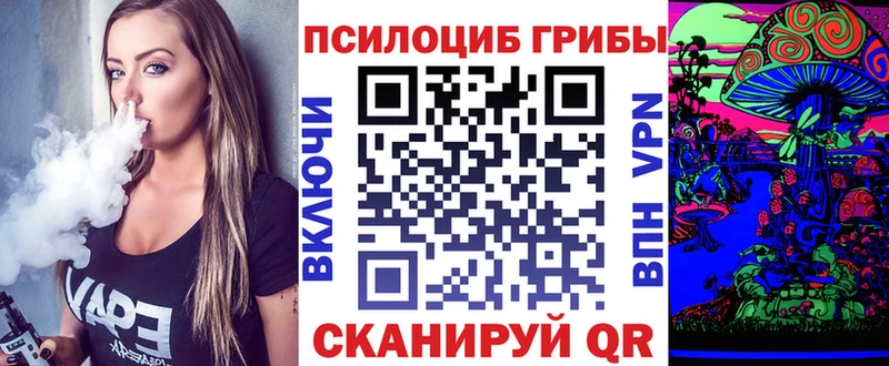 гидра как зайти  Россошь  Галлюциногенные грибы мицелий  как найти наркотики 